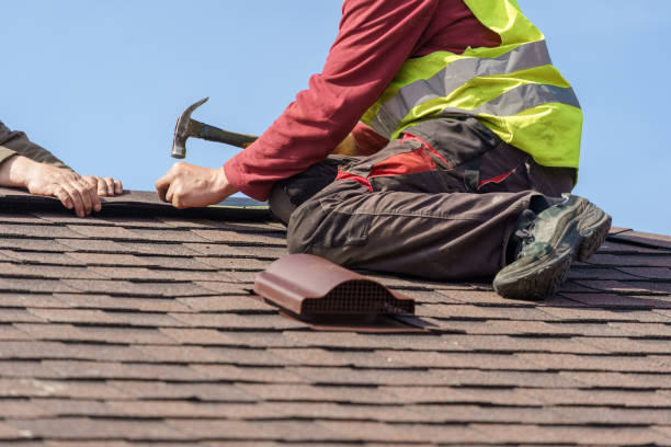 Best Roof Gutter Cleaning  in Ridgetop, TN